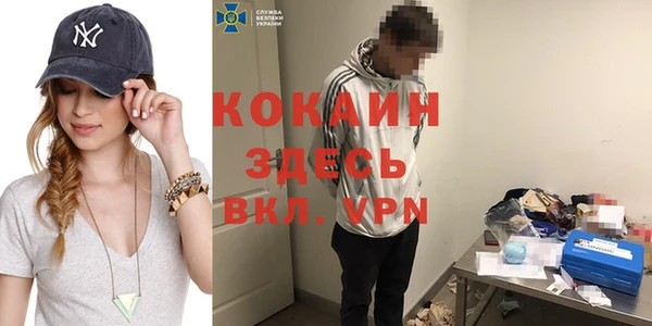 сатива Костерёво