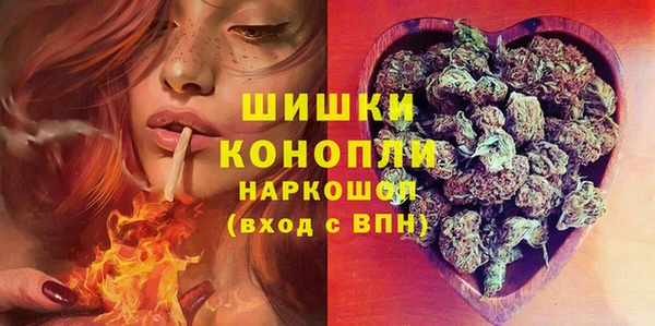 сатива Костерёво