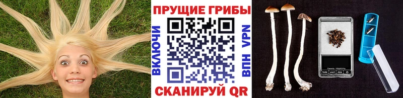 Купить закладки  Балей  Галлюциногенные грибы Magic Shrooms 